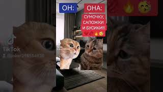 #коты #котики#смех #смешноевидео#прикол#юмор #юмор #funnyshorts #fun #funny #funnycats #funnyvideos