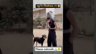 #funny #animals #comedy face to face tunny ফেস টু ফেস ফানি ভিডিও 😂😂😂