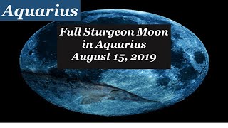 Aquarius Don’t Set Your Intentions Until You View This Reading! - August 15, 2019