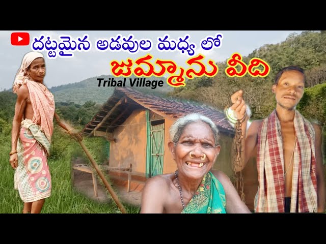 Tribal Village || Jummanu veedhi- Nookadora tribes|| Living in  forest..|| Mylu Rams Channel class=