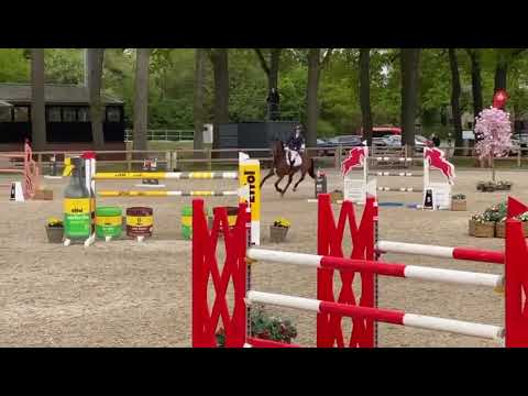 Mieke van Spieveld 145 LR CSI2** Riesenbeck