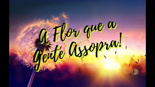 Vídeo de A Flor Que A Gente Assopra