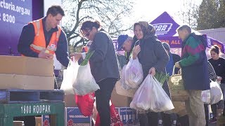 Support a Foodbank Farms to Families market