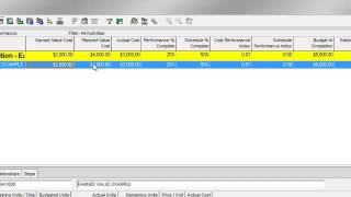 Primavera P6 Advanced -  Calculate CPI & SPI screenshot 4