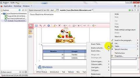 Insérer un tableau dans un cours Opale: Méthode 01