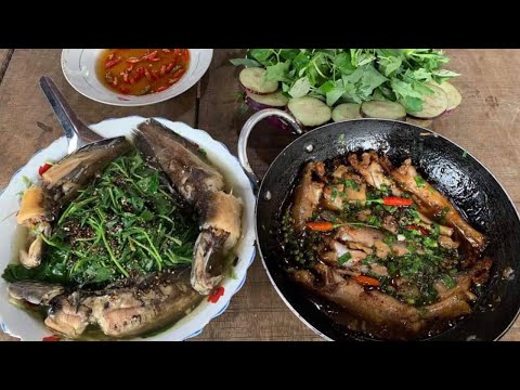 Video Cá Phèn Kho Tiêu ● Tình Quê Miền Tây | TQMT #51 - youtube