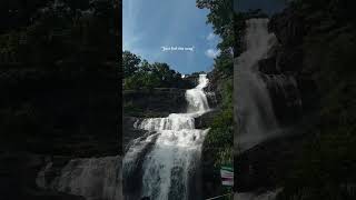 Download Lagu feel the song #song #lyrics #shortvideo #youtube #🤌 MP3 Download Lagu feel the song #song #lyrics #shortvideo #youtube #🤌 MP3