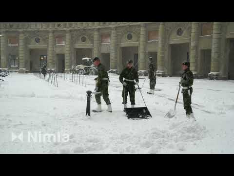 #guards at swedish royal palace shoveling snow