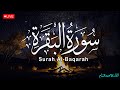 سورة البقرة لحفظ وتحصين المنزل بصوت هادئ للقارئ محمد هشام Surah Al Baqra 