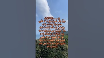 سعد الغامدي:سورة الهمزة