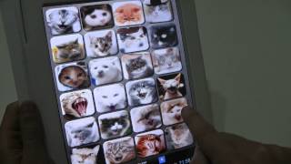 Cat Sounds App for Android screenshot 5