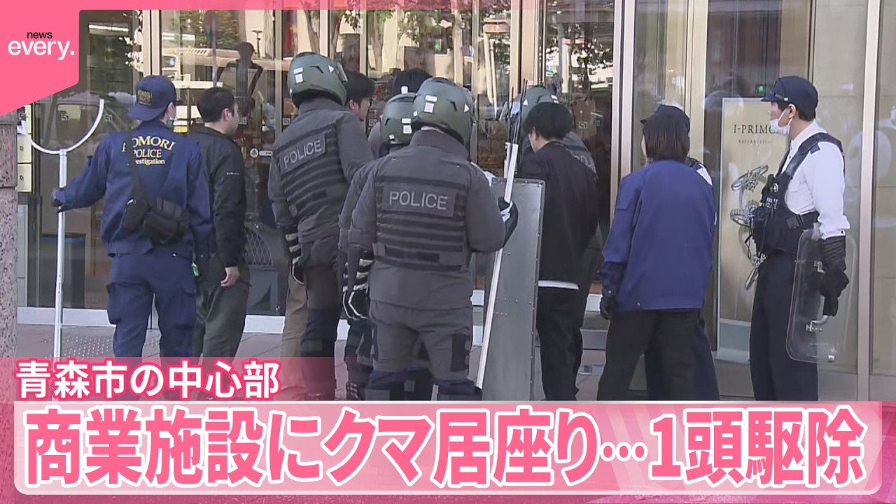 1頭駆除】複数の人が上の階に避難 商業施設にクマ居座り 青森市 - YouTube
