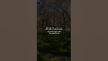 ومن آياته أن خلق لكم من أنفسكم أزواجا لتسكنوا إليها وجعل بينكم مودة ورحمة ..| بیشەوا قادر الكردي