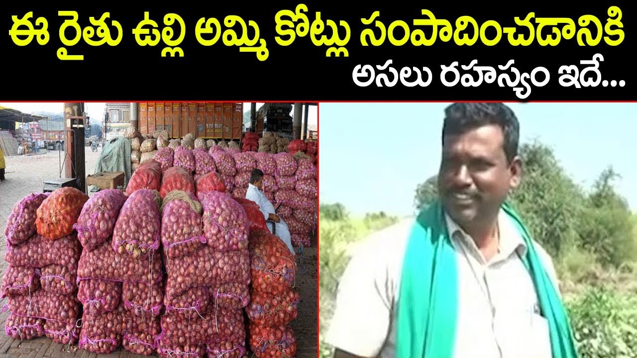 రాత్రికి రాత్రి రైతు జీవితాన్ని మార్చేసిన ఉల్లిపంట Karnataka Onion