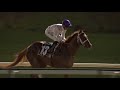 Another superb finish! MIDNIGHT SANDS digs deep to reel in Ambassadorial to complete the four timer