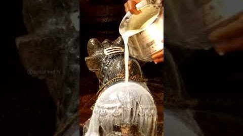 இன்று பிரதோஷம் வழிபாடு காணகிடைக்காத அற்புததரிசனம் #shorts #pradosham #sivan #abhishekam