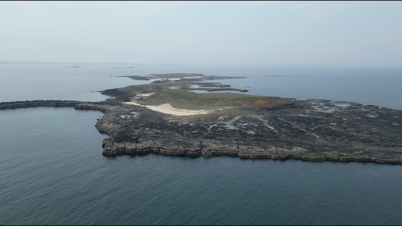 澎湖釣遊 外礁:姑婆嶼 #磯釣#臭肚#mini3pro