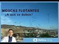 Causas de Moscas Flotantes en la Visión | Oftalmólogo Tijuana | Especialistas en Retina