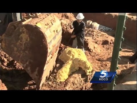 Gas Workers Find A Woolly mammoth