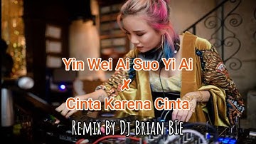 Yin Wei Ai Suo Yi Ai ✘ Cinta Karena Cinta (Electro Manyao) By Dj Brian Bie #remixmanyao #remix #dj