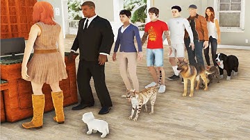 Starting A Pet Motel