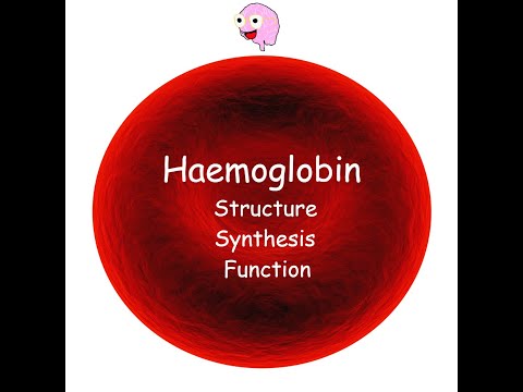 بخش 3: هموگلوبین - ساختار، سنتز، انواع و عملکرد