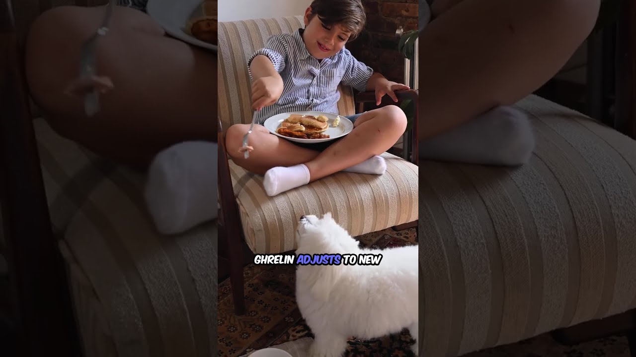 Ramadan Reboot – Day 10 The Hormonal Harmony: Cortisol, Melatonin & the Rhythm of Renewal #shorts