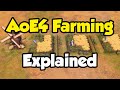 AoE4 farming mechanics, tips, and civ bonuses