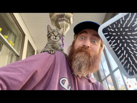 ASMR🐈‍⬛Lofi Fast Aggressive ft. Willy ASMR🐈‍⬛(My Cat😹)