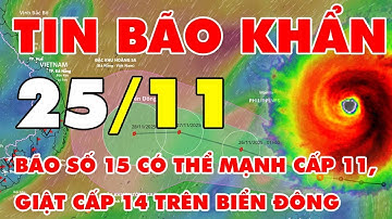 🆘 TIN BÃO KHẨN 25/11: Bão số 15 có thể mạnh cấp 11, giật cấp 14 trên Biển Đông