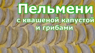 видео Вареники с капустой и грибами