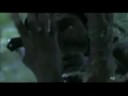 Benicio del Toro - The Hunted