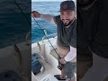 اطلس لتنظيم الرحلات البحرية من ام القيوين مع النوخذة ابو يوسف 00971555572066 Fishing 