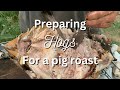 Pig roast