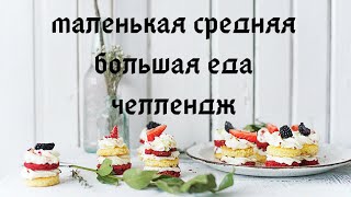 Маленькая средняя большая еда челлендж