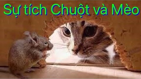 Sự tích Chuột và Mèo