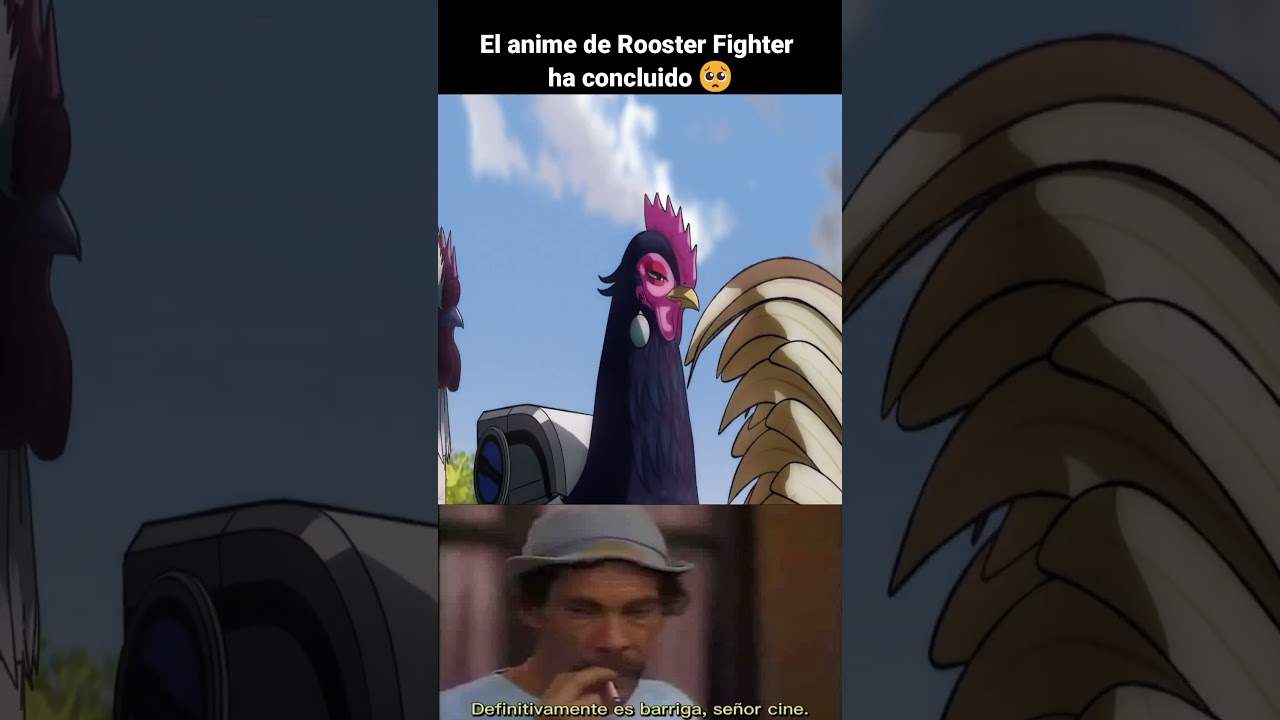 Mi telenovela favorita de los domingos ha finalizado. 🤧 #roosterfighter #anime