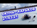 Журавлевка в Харькове зимняя рыбалка на окуня