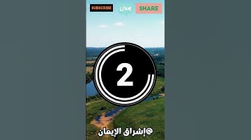 ماهي السورة التي حث الرسول صلى الله عليه و سلم النساء على تعلمها?
