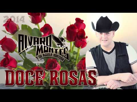 ALVARO MONTESVEVO