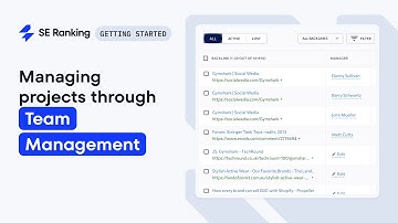 SE Ranking Team Management Features Explained