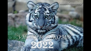 Новорічне Привітання - #ЗНОВИМРОКОМ 2022 #Сєвєродонецьк
