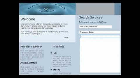 Dynamic search of SAP data using RESTful services.mp4