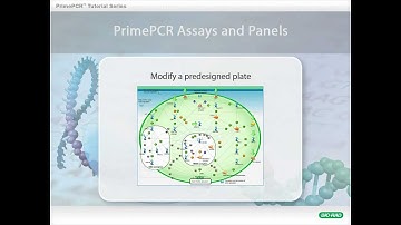 PrimePCR™ Assays: Modify a Predesigned Panel