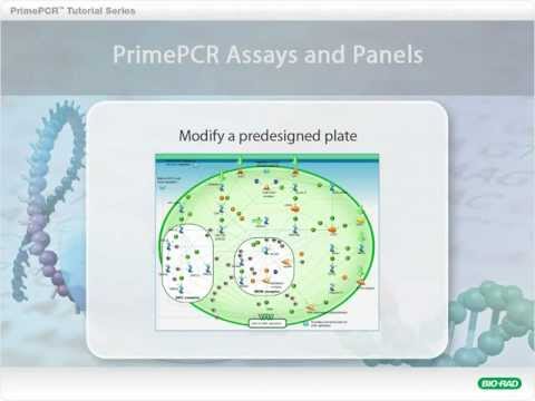 PrimePCR™ Assays: Modify a Predesigned Panel