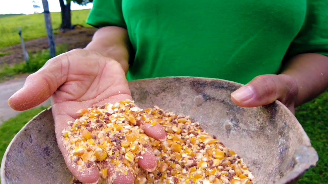 PROJETO PROFISSIONAL DO JOVEM EFASA 2021 