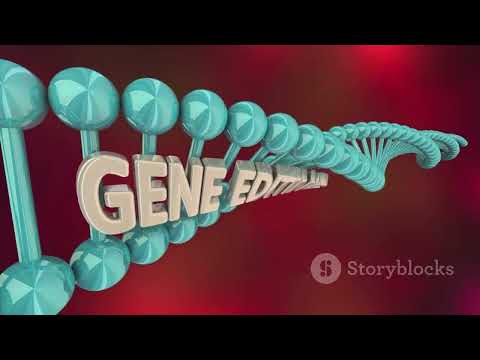Gene Expression Translation POGIL: The Key To Understanding