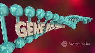 Decoding Language  The FOXP2 Gene and Linguistic Translation Genes