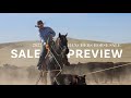 2023 Sale Horse Preview