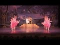 New haven ballet nutcracker